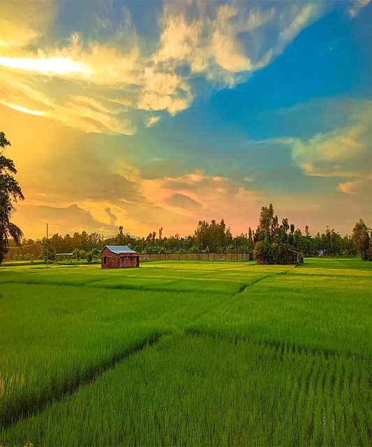 agriculture